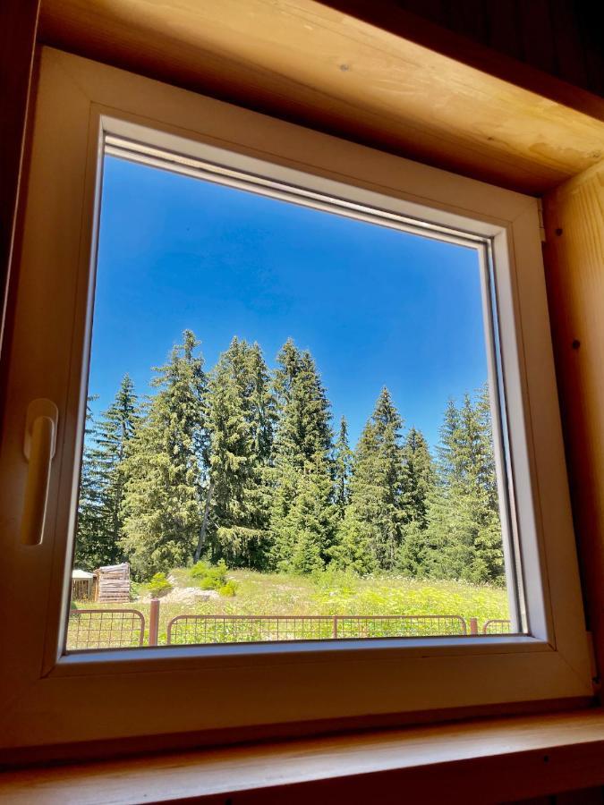 Kosta's Apartman Zabljak (Zabljak)